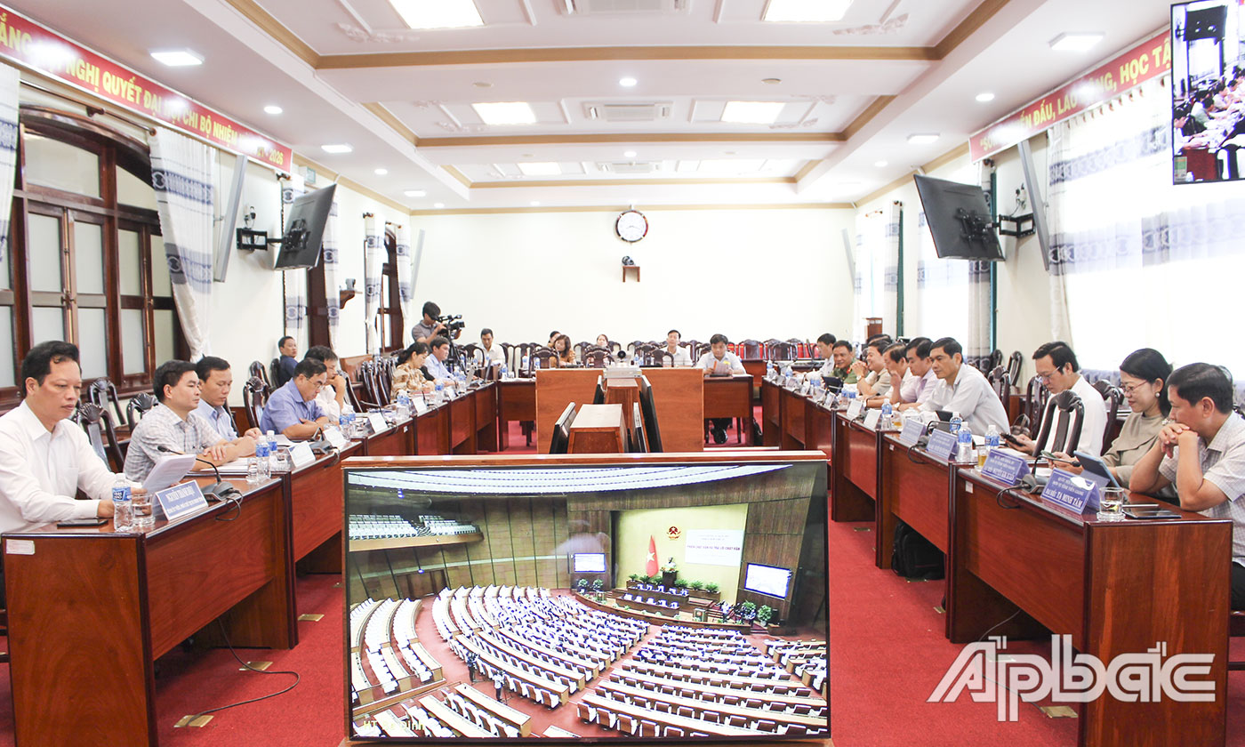 Quang cảnh phiên họp trực tuyến tại điểm cầu tỉnh Tiền Giang. 