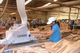 Gần 59 tỉ đồng thực hiện dự án Tổ hợp chế biến gỗ Quảng Trị