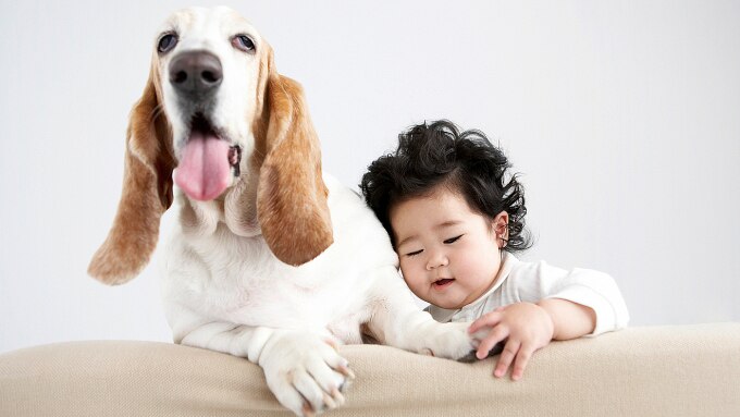 Trẻ em có thể nhiễm giun khi tiếp xúc với chó, mèo. Nguồn: Today Show