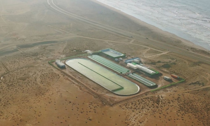 Cơ sở thí điểm nuôi trồng vi tảo tại Akhfenir, miền nam Morocco. Ảnh: Brilliant Planet