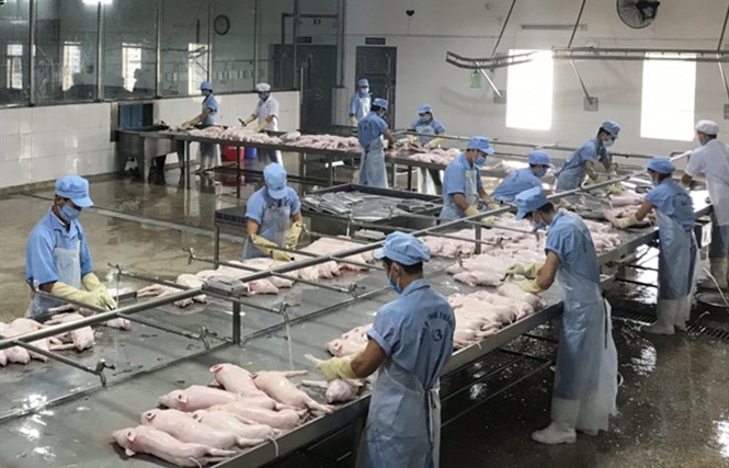 Thị trường nào nhập khẩu nhiều thịt và sản phẩm thịt của Việt Nam?