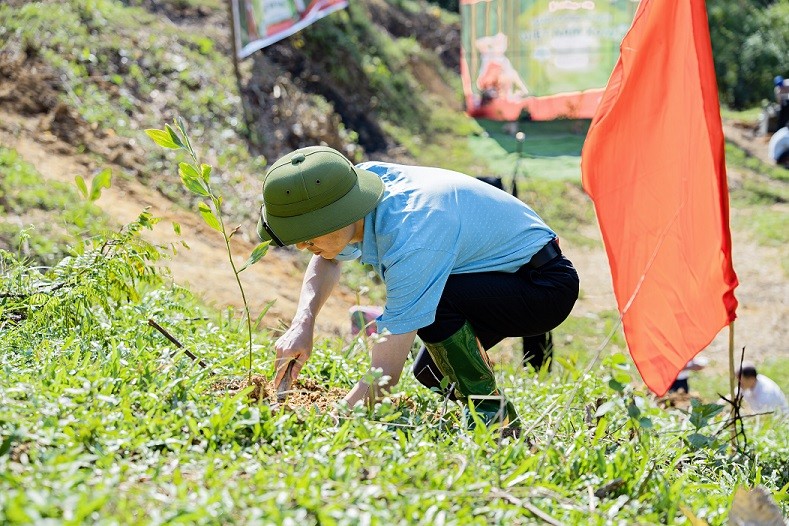 Trao tặng 250.000 cây xanh cho 2 tỉnh Yên Bái và Lào Cai, tiếp nối 'Hành động vì một Việt Nam xanh'