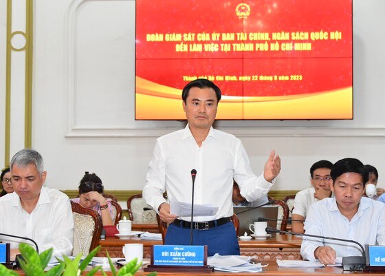 Phó Chủ tịch UBND TPHCM Bùi Xuân Cường phát biểu tại buổi làm việc. Ảnh VIỆT DŨNG ảnh 2