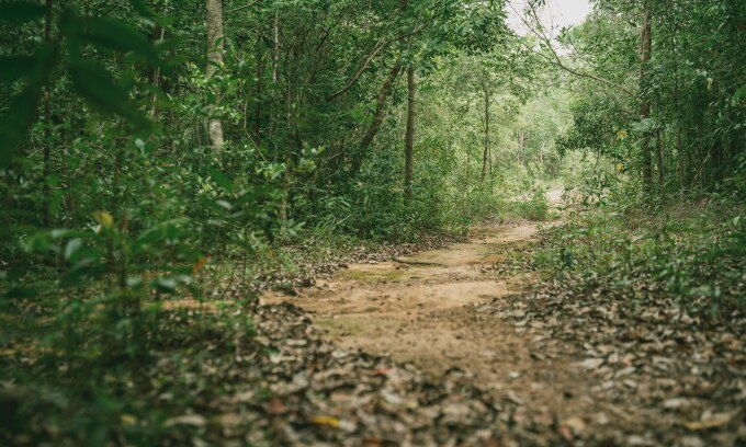 Đường trekking trong Vườn quốc gia Phú Quốc. Ảnh: Nguyễn Anh Tiến