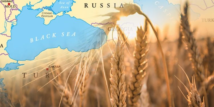 ‘Vũ khí nông nghiệp’ Nga phát tác, kế hoạch B của Ukraine tắc ngay từ lối ra châu Âu. (Nguồn: Safety4sea)