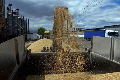 Công nhân chất ngũ cốc lên xe tải tại một bến cảng ở Odessa, Ukraine, hồi tháng 6/2022. Ảnh: Reuters