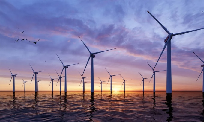 Các chuyên gia nỗ lực tìm cách biến trang trại gió trở nên thân thiên hơn với sinh vật biển. Ảnh: ShutterDesigner/Shutterstock