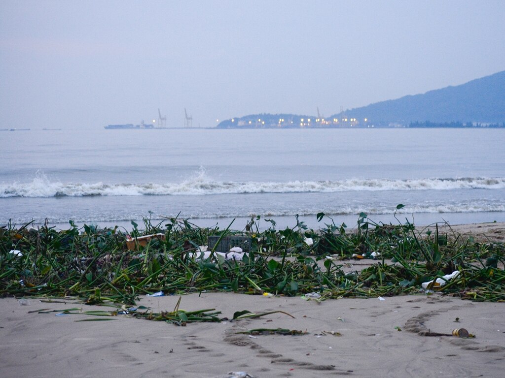 Ngổn ngang rác thải ở bờ biển Đà nẵng sau mưa lũ - Ảnh 2.