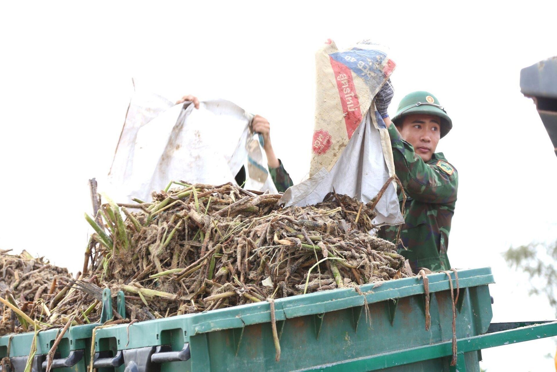3.000 người dọn rác bủa vây vịnh Đà Nẵng sau mưa lũ - 5