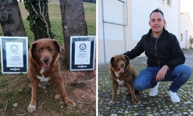 Chủ Leonel Costa đăng ảnh cùng chó Bobi hồi tháng 2. Ảnh: Facebook/Leonel Costa