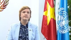 Việt Nam xứng đáng được hoan nghênh với những cam kết kiên định tại Liên hợp quốc
