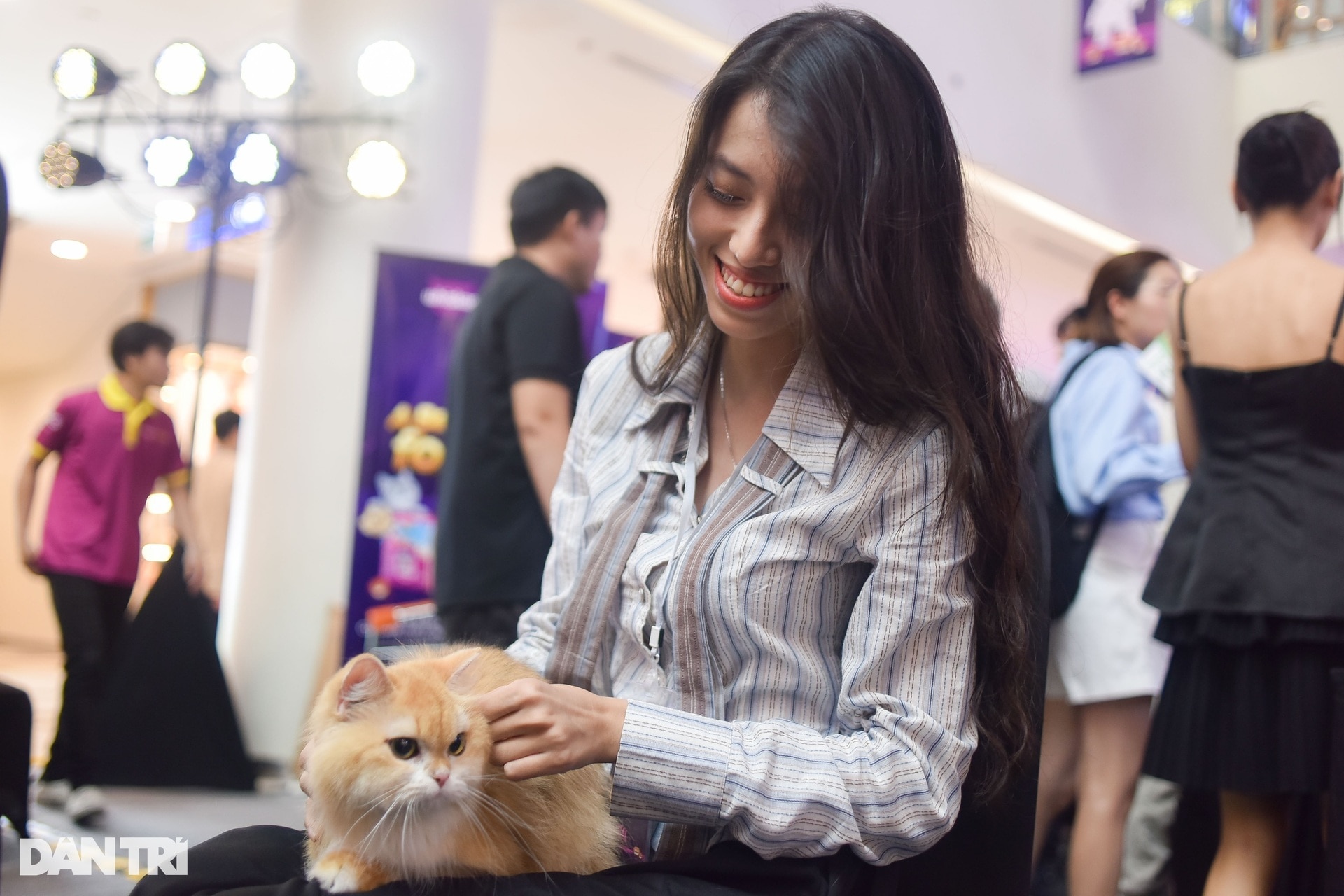 Mèo Việt Nam thắng giải cuộc thi sắc đẹp mèo Đông Nam Á - 10