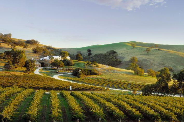 Adelaide - ‘Thiên đường’ du lịch với những người yêu thích rượu vang tại Australia - Ảnh 2.