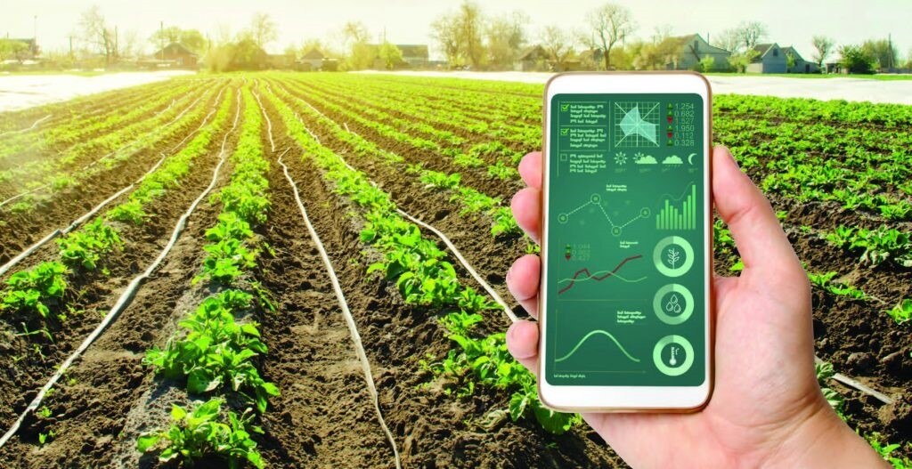 Tổng giám đốc FAO: AI là công cụ để chuyển đổi hệ thống nông nghiệp