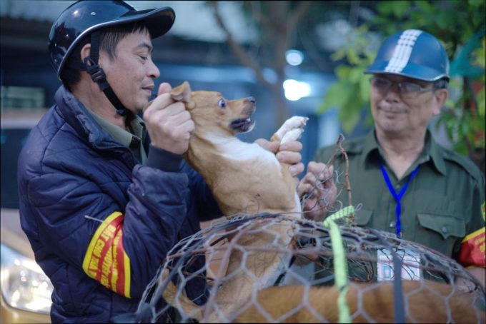 Lượng lượng bảo vệ dân phố tham gia chiến dịch bắt chó thả rông tại Hà Nội năm 2018. Ảnh: Hoàng Phong
