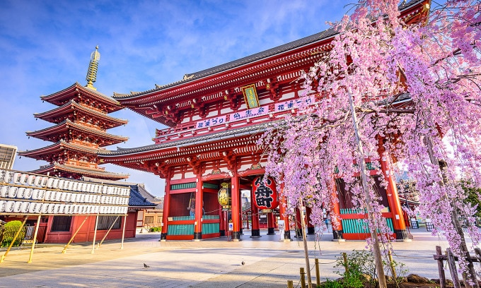 Chùa Asakusa ở Tokyo. Ảnh: Tokyo Travel Guide