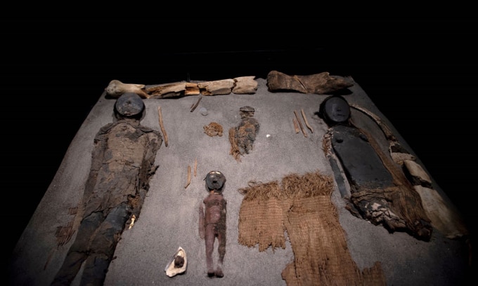Các xác ướp Chinchorro trong bảo tàng khảo cổ San Miguel de Azapa ở Camarones, Arica, Chile. Ảnh: Martin Bernetti/AFP