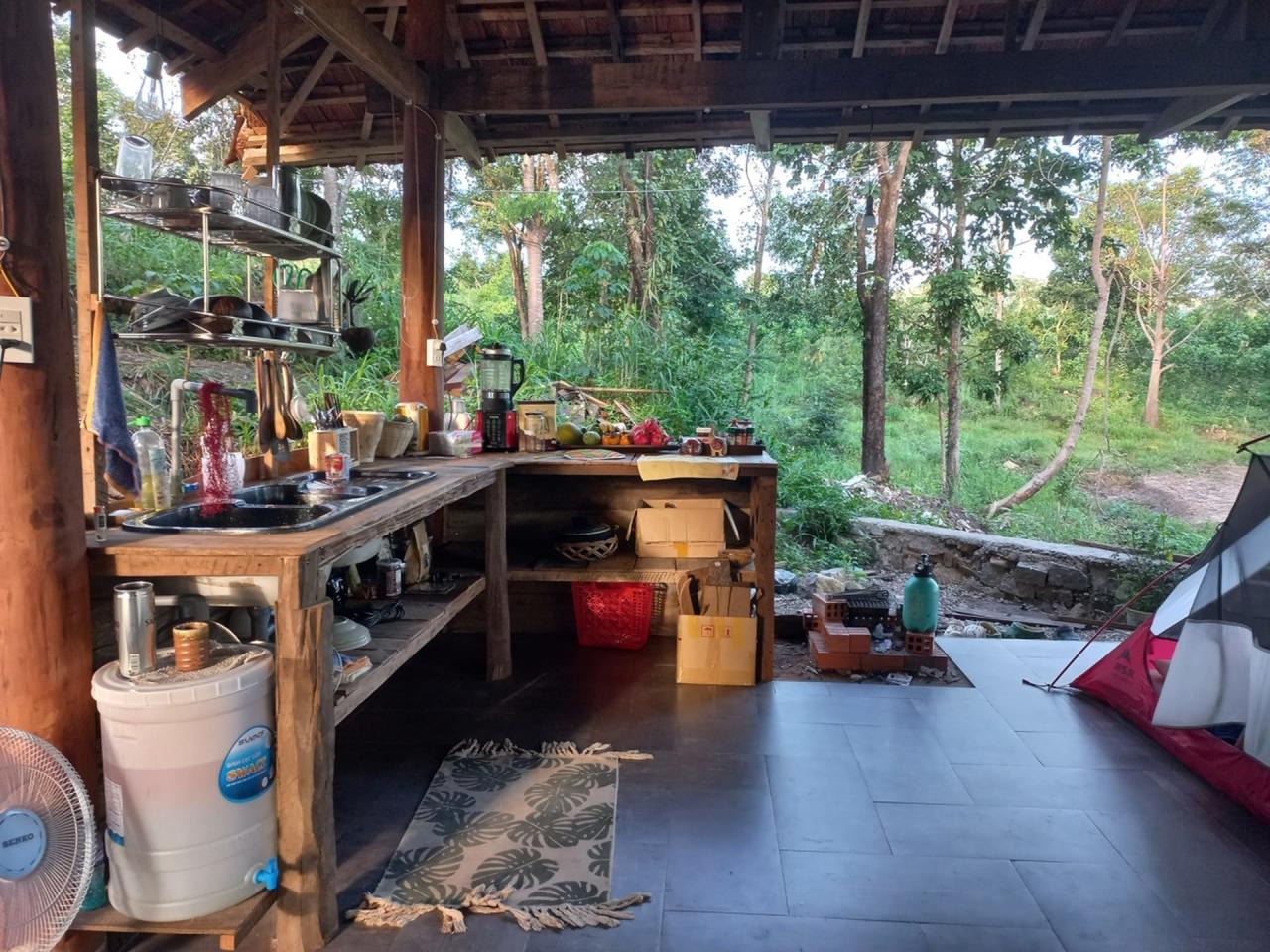 Vợ Việt - chồng Hà Lan bỏ phố về rừng ở nhà gỗ, không dùng bếp điện, tivi - 1