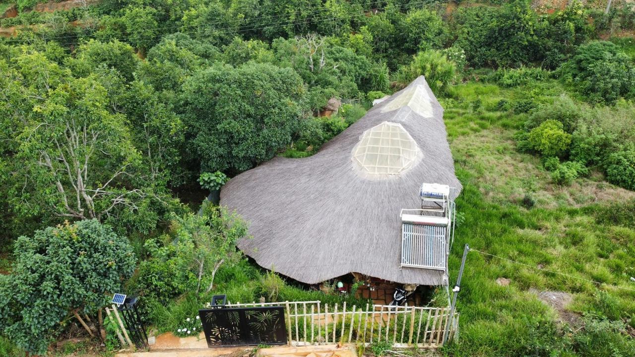 Vợ Việt - chồng Hà Lan bỏ phố về rừng ở nhà gỗ, không dùng bếp điện, tivi - 4