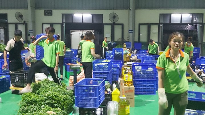 Người lao động của HTX An Phát (Thanh Trì, Hà Nội) sơ chế, chế biến rau.