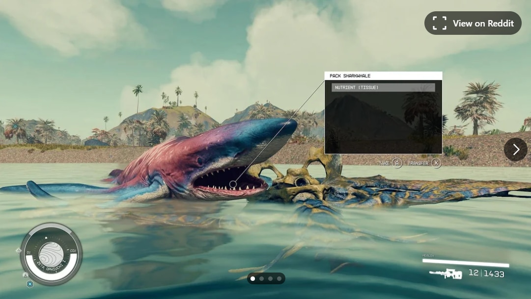 Game thủ Starfield phát hiện cá độc lạ - Ảnh 2.