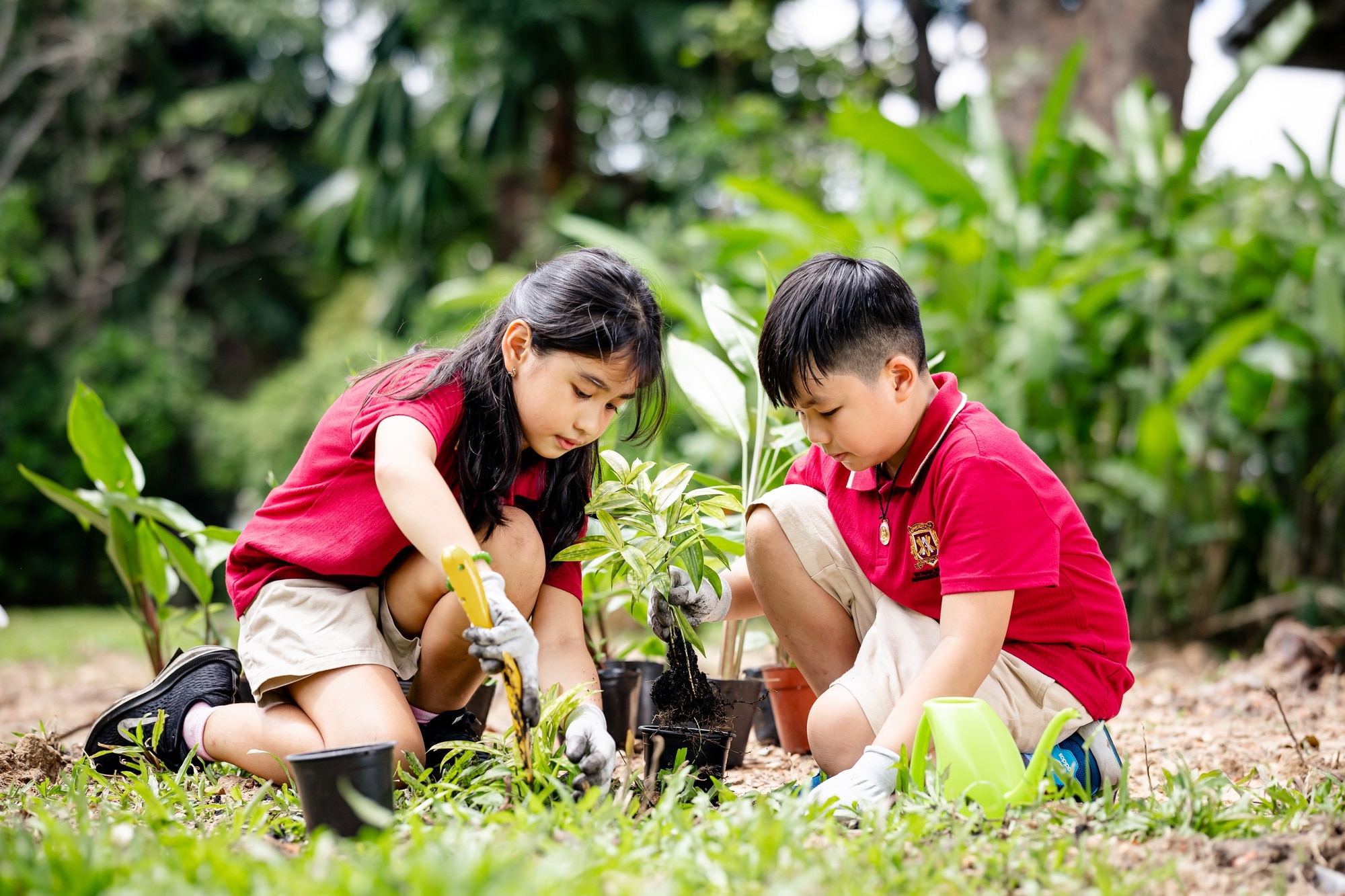 Trường Quốc tế Việt Úc và hành trình 20 năm ươm mầm những 'thế hệ xanh' - Ảnh 2.