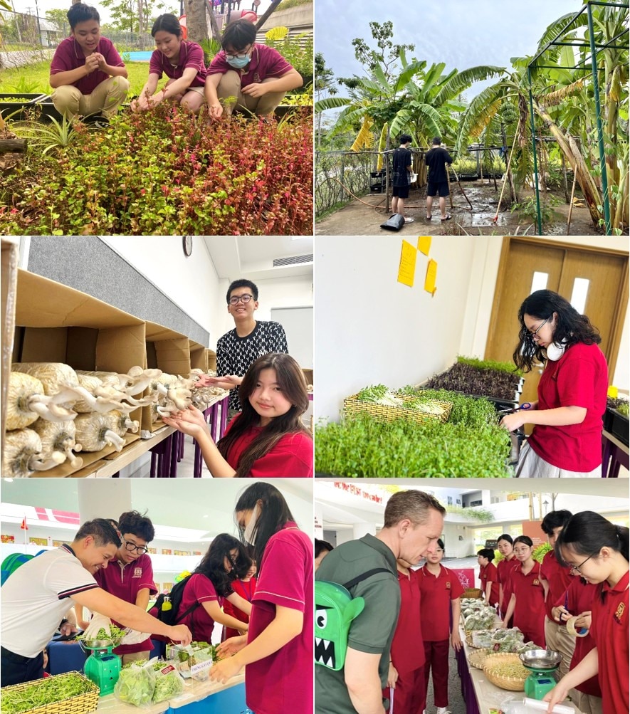 Trường Quốc tế Việt Úc và hành trình 20 năm ươm mầm những 'thế hệ xanh' - Ảnh 4.