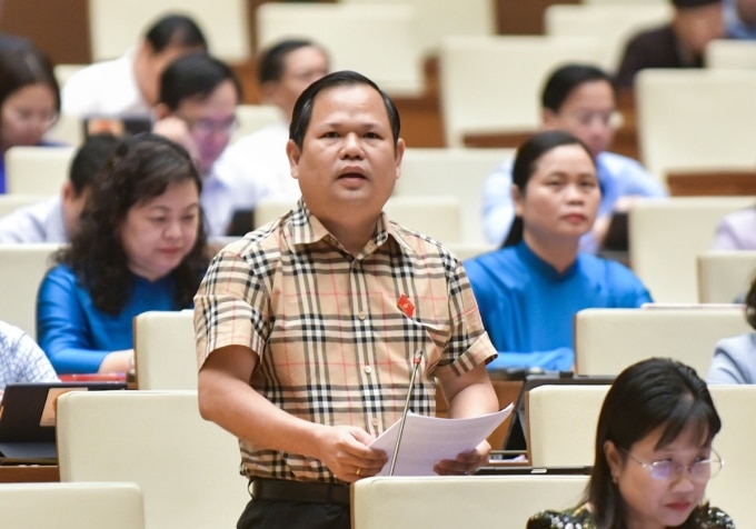 Ông Nguyễn Duy Thanh, Phó chủ tịch Hiệp hội doanh Nghiệp tỉnh Cà Mau phát biểu tại phiên thảo luận Luật sửa đổi, bổ sung một số điều Luật Đấu giá tài sản, ngày 28/11. Ảnh: Media Quốc hội
