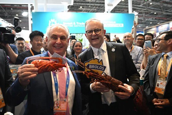 Thủ tướng Anthony Albanese (bên phải) và Bộ trưởng Bộ Thương mại Australia Don Farrell tham quan gian hàng của nước này tại Hội chợ triển lãm nhập khẩu quốc tế Trung Quốc ở Thượng Hải