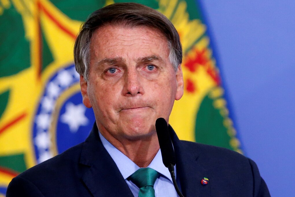 Cựu Tổng thống Brazil bị điều tra vì chọc giận cá voi - 1