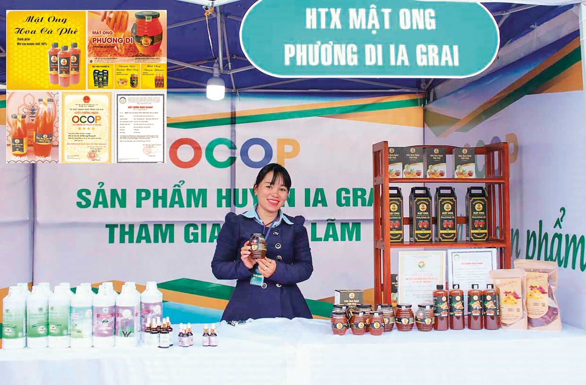 Các sản phẩm đặc trưng của tỉnh Gia Lai. (Nguồn: ocopgialai.vn)