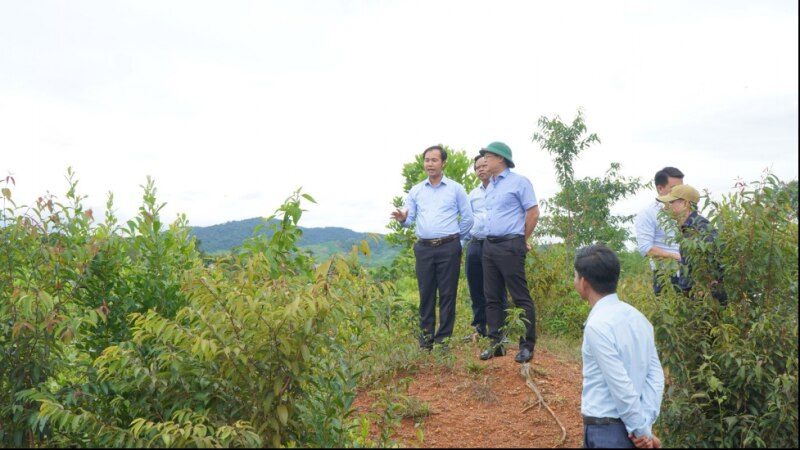 Lãnh đạo UBND tỉnh Thừa Thiên Huế kiểm tra các dự án hỗ trợ giảm nghèo tại huyện A Lưới