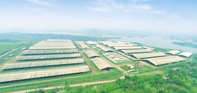 Hệ thống điện mặt trời mái nhà tại Trang trại của tập đoàn TH tại Nghĩa Đàn, Nghệ An. Ảnh: XIN NGUỒN