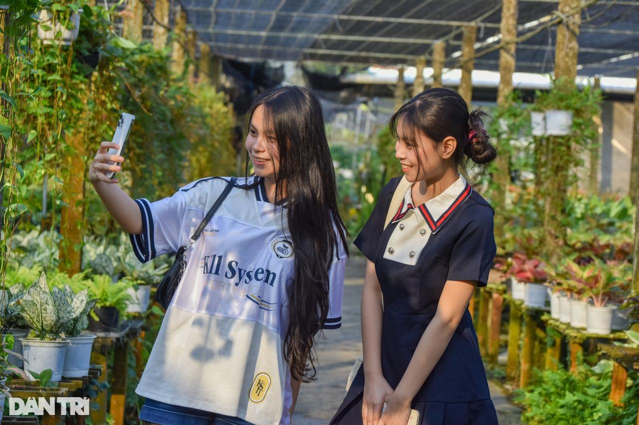 Thủ phủ hoa lớn nhất miền Tây vào vụ Tết - 12 Thủ phủ hoa lớn nhất miền Tây vào vụ Tết - 12