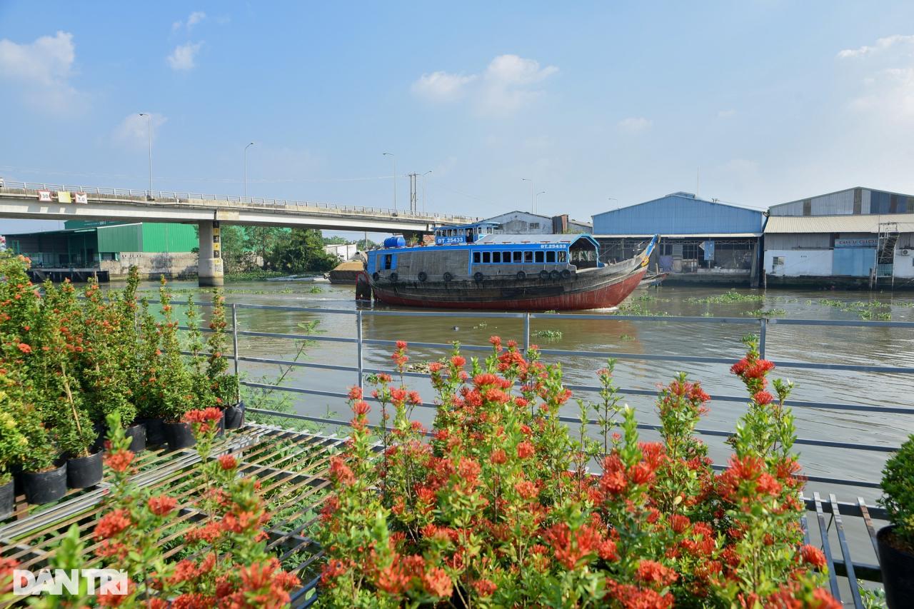 Thủ phủ hoa lớn nhất miền Tây vào vụ Tết - 13 Thủ phủ hoa lớn nhất miền Tây vào vụ Tết - 13