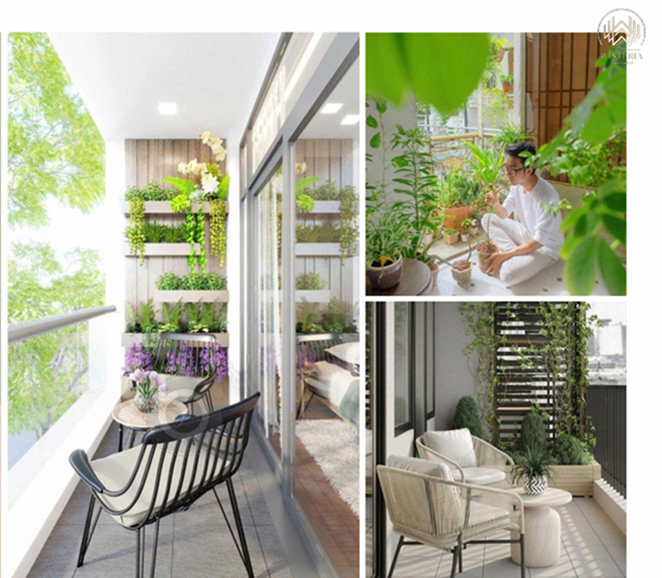 the wisteria noi thien nhien giao hoa nhip song hinh 2