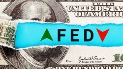 Tỷ giá ngoại tệ hôm nay 14/12: Tỷ giá USD, EUR, CAD, Bảng Anh... Fed chấm dứt tăng lãi suất, đồng bạc xanh rớt thảm