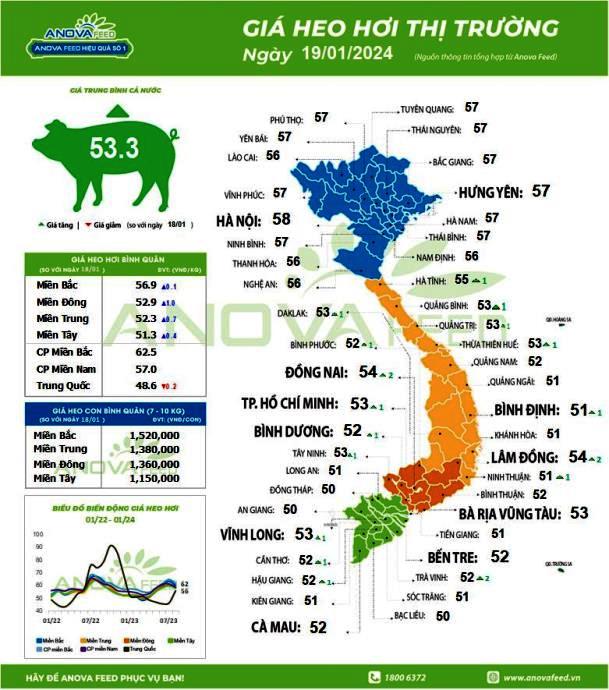 Giá lợn hơi ngày 19.1. Nguồn: Anova Feed.