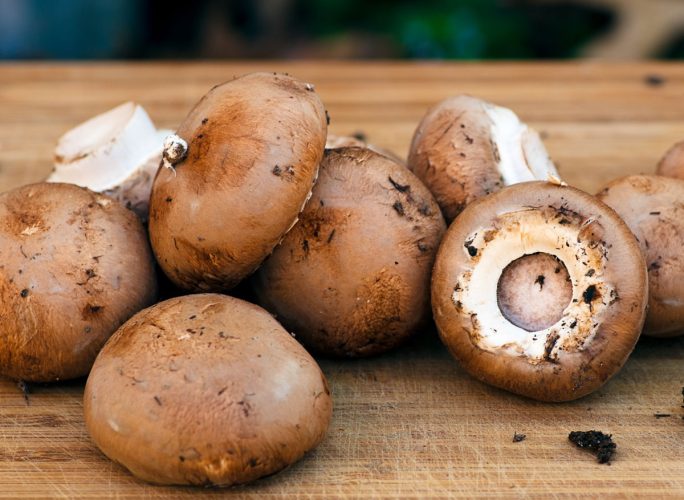 Bất ngờ với thực phẩm bệnh nhân ung thư được khuyên nên ăn- Ảnh 2. Bất ngờ với thực phẩm bệnh nhân ung thư được khuyên nên ăn- Ảnh 2.