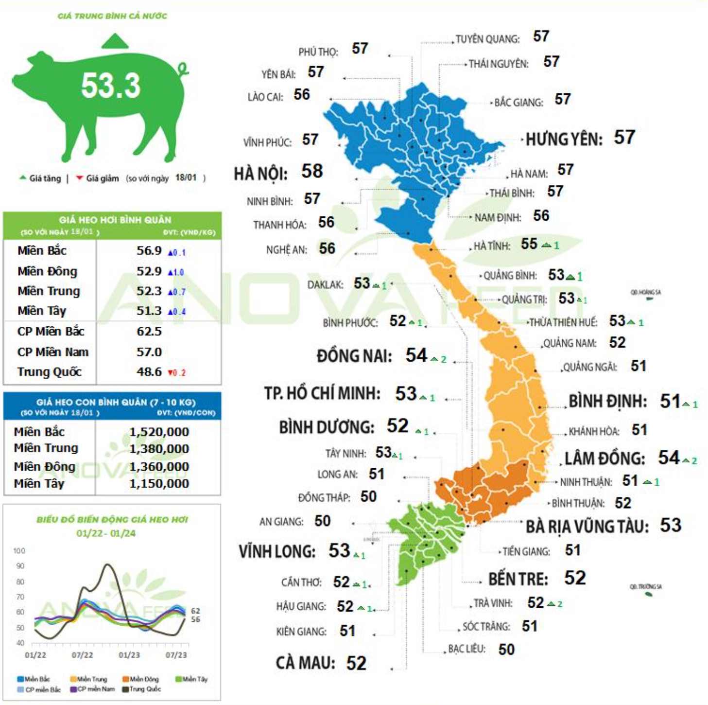 Cập nhật giá lợn toàn quốc. Nguồn: Anova Feed