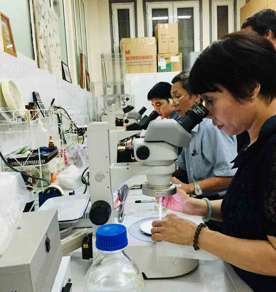 'Săn' muỗi ngừa dịch bệnh- Ảnh 4. 'Săn' muỗi ngừa dịch bệnh- Ảnh 4.