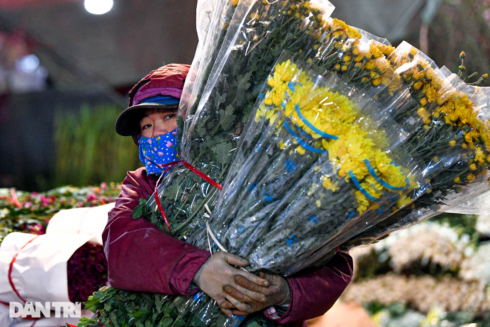 Chợ hoa lớn nhất ở Hà Nội họp xuyên đêm trong giá lạnh dưới 10 độ C - 2 Chợ hoa lớn nhất ở Hà Nội họp xuyên đêm trong giá lạnh dưới 10 độ C - 2
