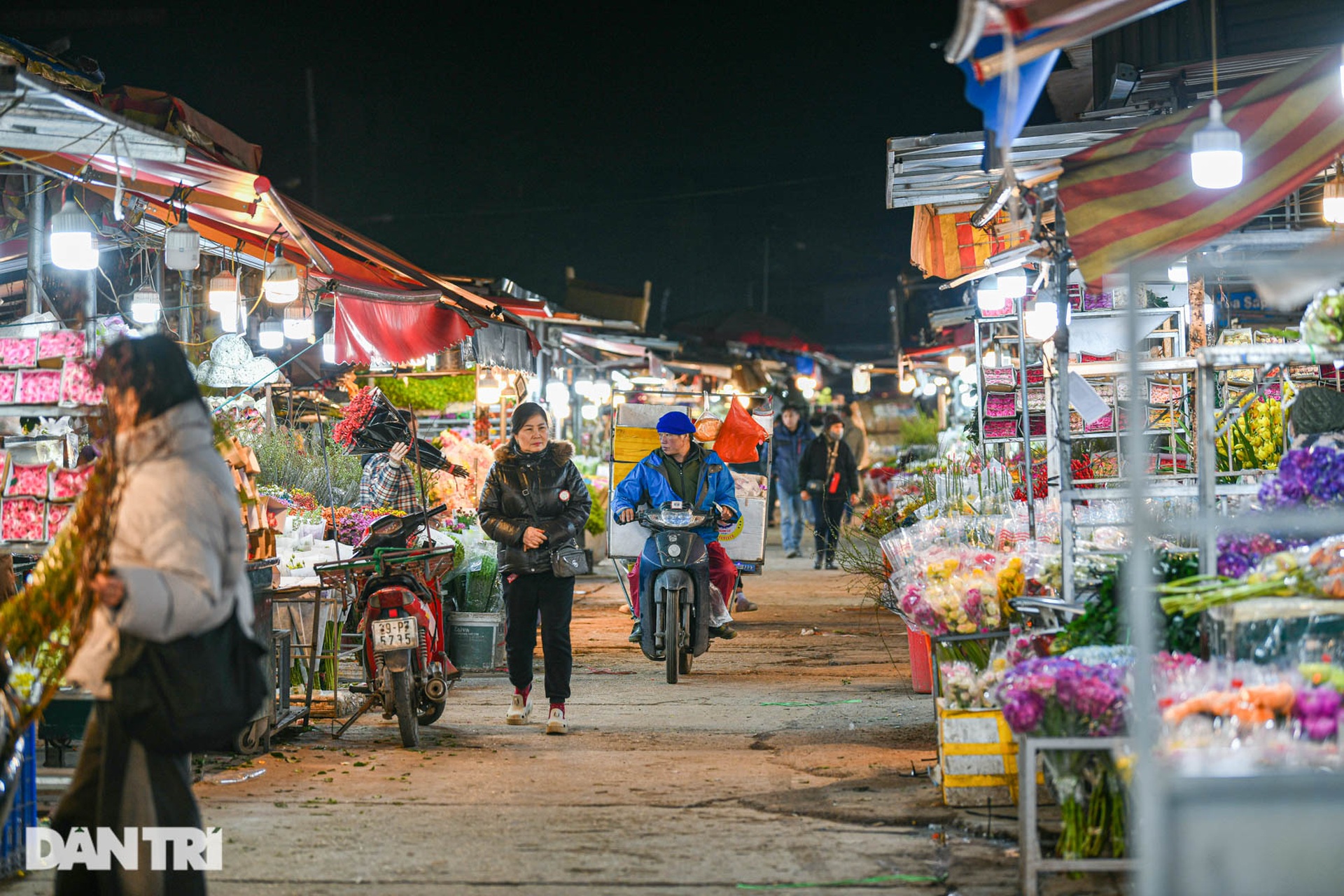 Chợ hoa lớn nhất ở Hà Nội họp xuyên đêm trong giá lạnh dưới 10 độ C - 8 Chợ hoa lớn nhất ở Hà Nội họp xuyên đêm trong giá lạnh dưới 10 độ C - 8