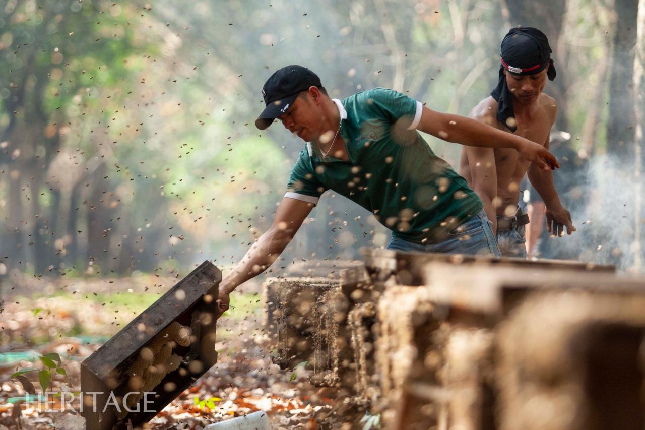 416571202_695596592681500_8778509961281313637_n-8 - Vietnam.vn