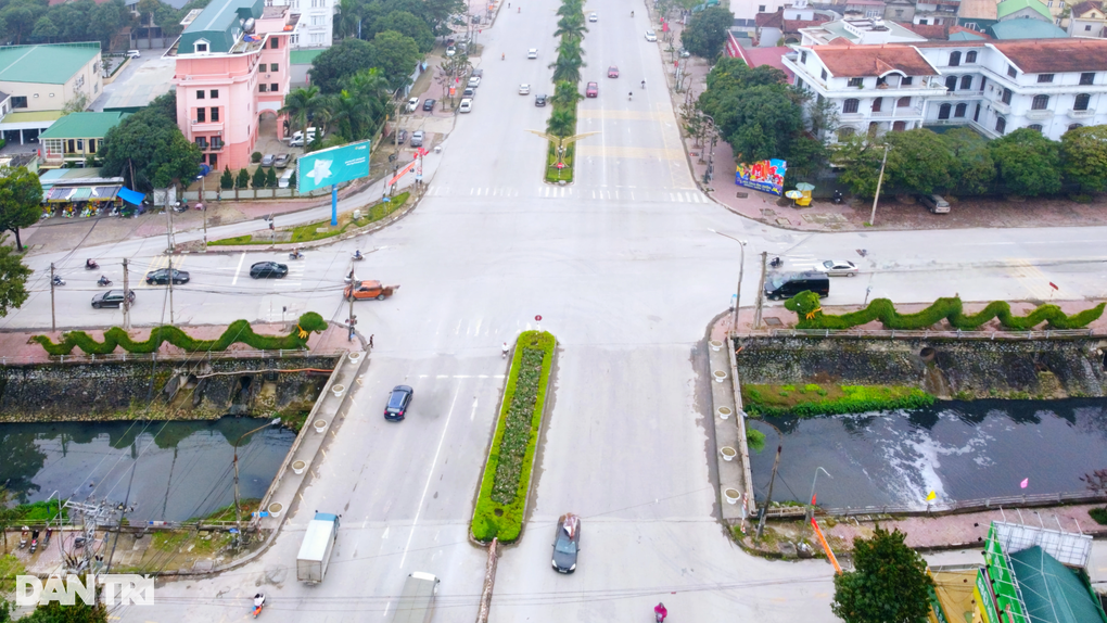 Cây cảnh rồng giận dỗi ở Nghệ An - 1 Cây cảnh rồng giận dỗi ở Nghệ An - 1