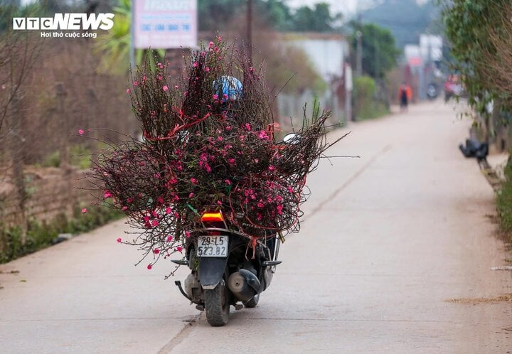 Từ đêm 15-17/1, Bắc Bộ, Thanh Hóa và Nghệ An mưa, mưa nhỏ rải rác. (Ảnh: Ngô Nhung)