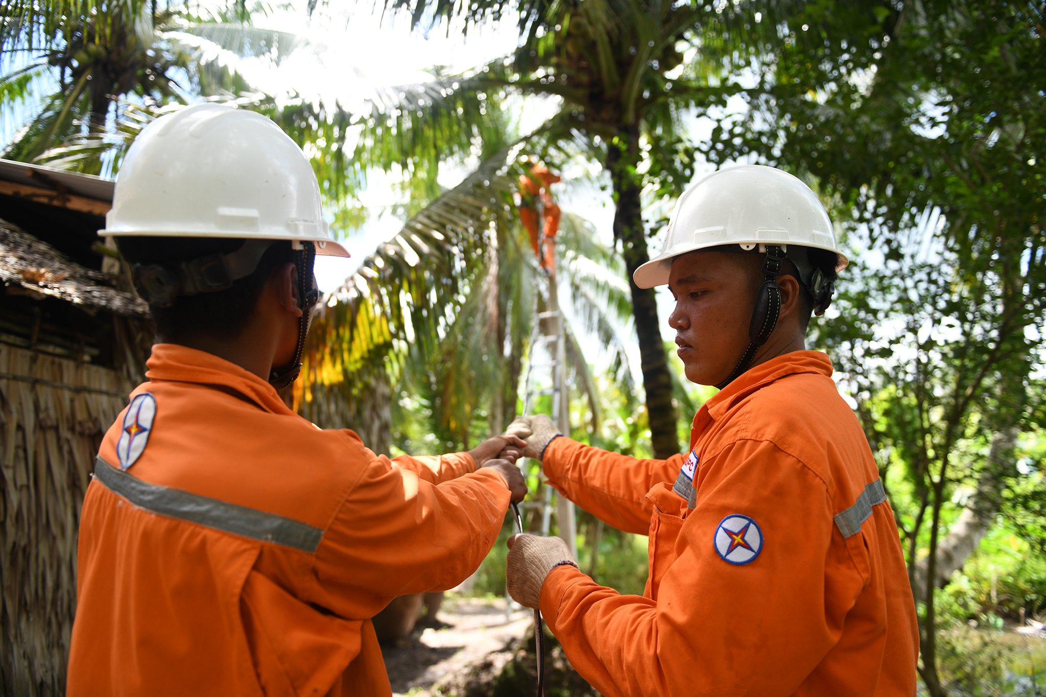 EVNSPC vượt khó, đảm bảo cung cấp điện 21 tỉnh thành phía Nam- Ảnh 1. EVNSPC vượt khó, đảm bảo cung cấp điện 21 tỉnh thành phía Nam- Ảnh 1.