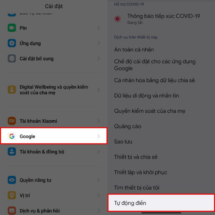 Chọn Google > Tự động điền.
