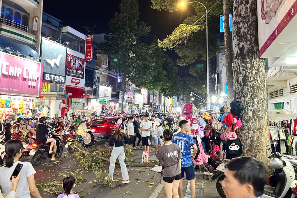 Người đàn ông nguy kịch vì nhánh cây ở TPHCM rơi trúng đầu - 1 Người đàn ông nguy kịch vì nhánh cây ở TPHCM rơi trúng đầu - 1