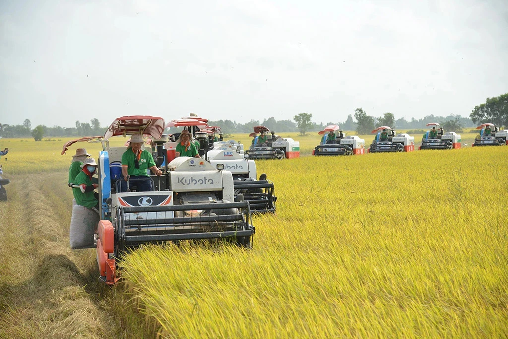 Nông nghiệp lập hàng loạt kỷ lục- Ảnh 1. Nông nghiệp lập hàng loạt kỷ lục- Ảnh 1.